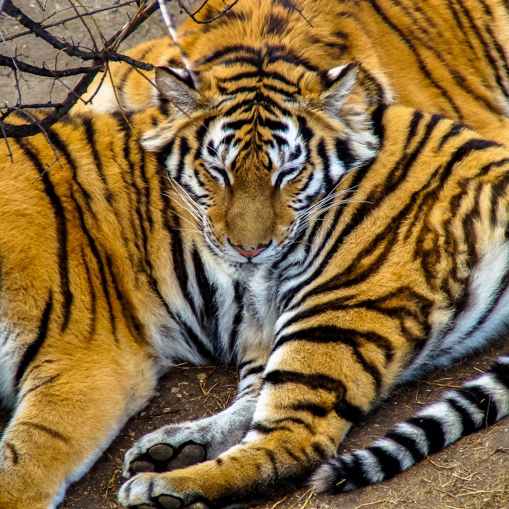 Photograph by Андрей Евтеев