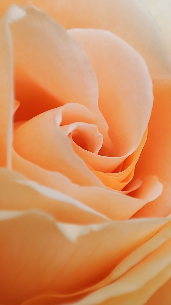 Фотография автора Ольга