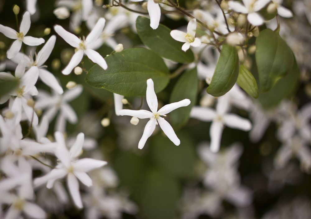 Photograph by Олег Терешкин