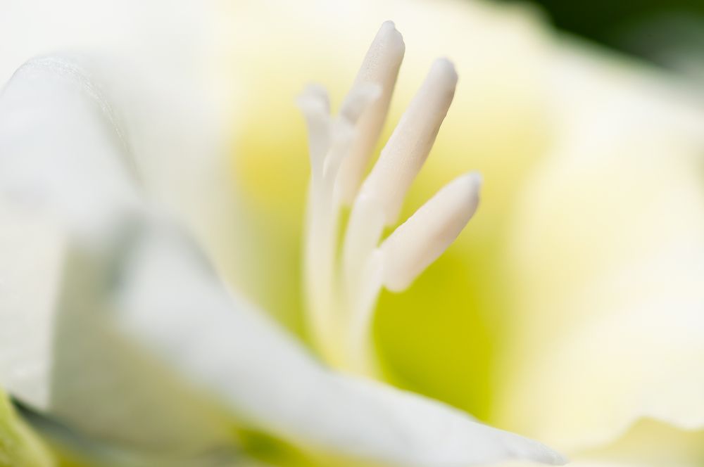 Фотография автора Олег Анатольевич Загорулько