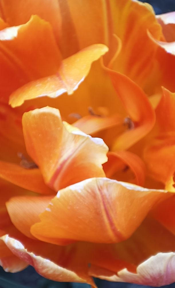 Фотография автора Ольга