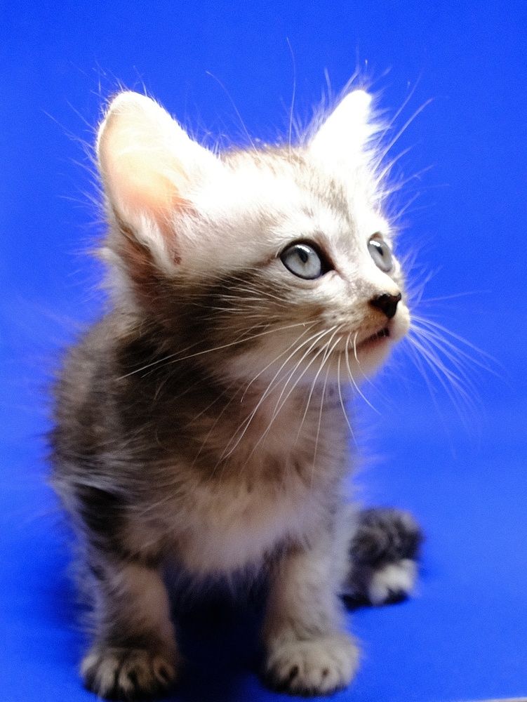 Photograph by Василий Мартынов