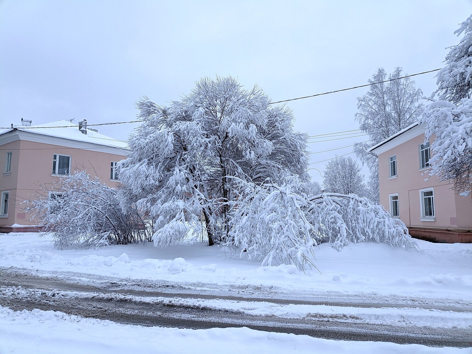 Photo #9469232