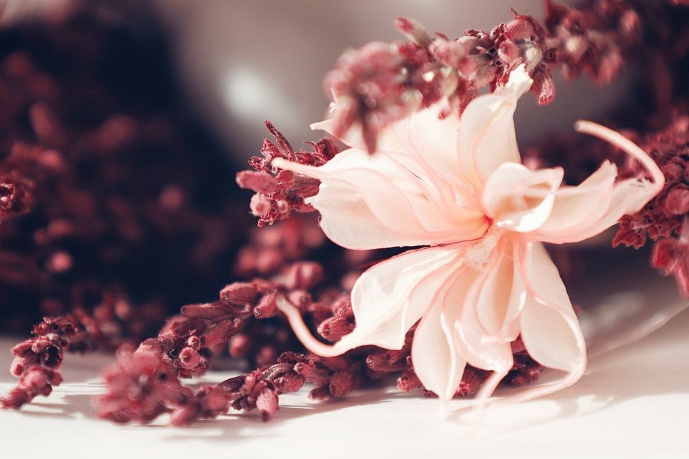 Photograph by Ольга Мандрыкина