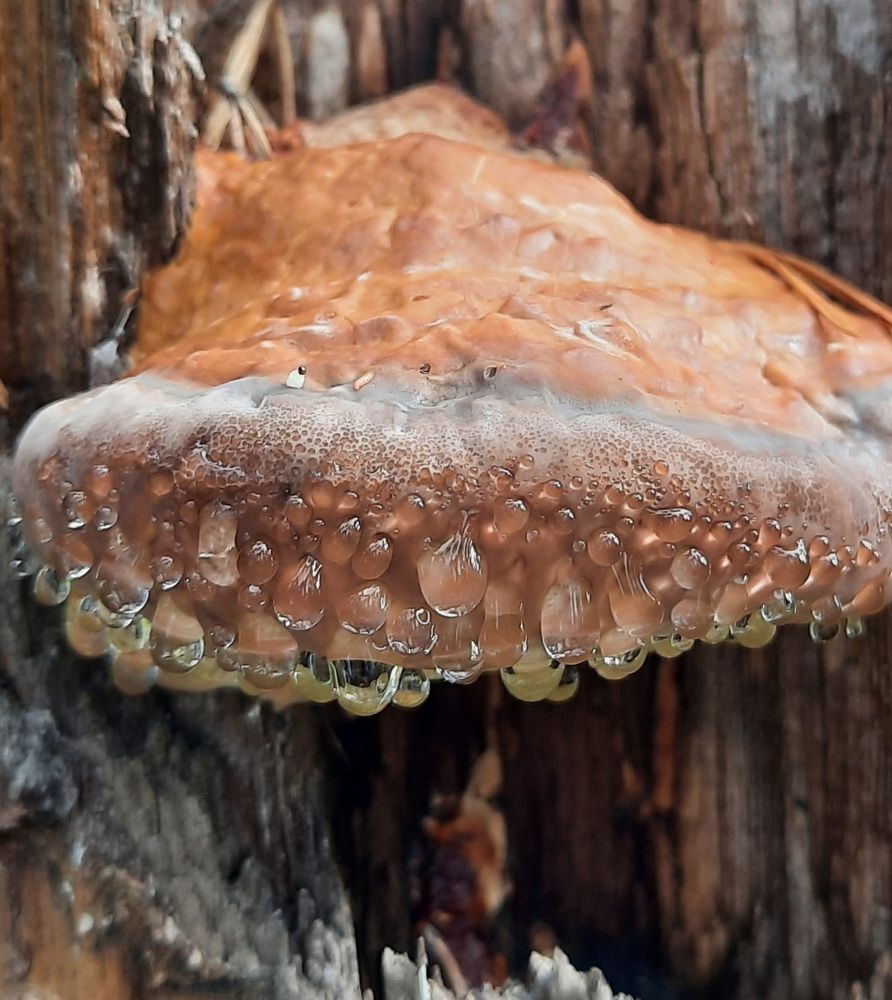 Photograph by Любовь Владимировна