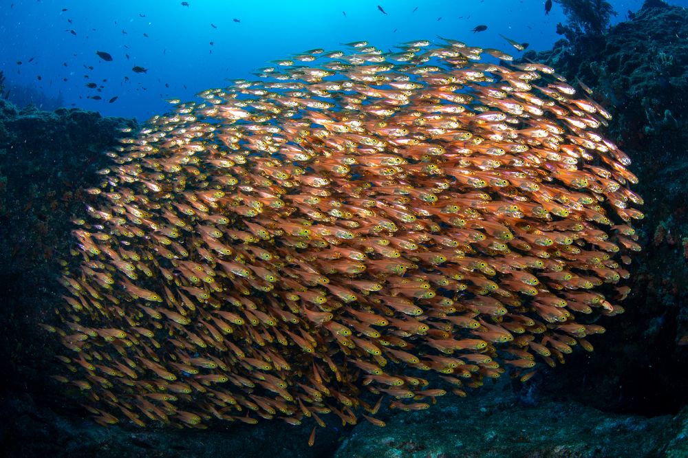 Photograph by HITOMI TSUCHIYA