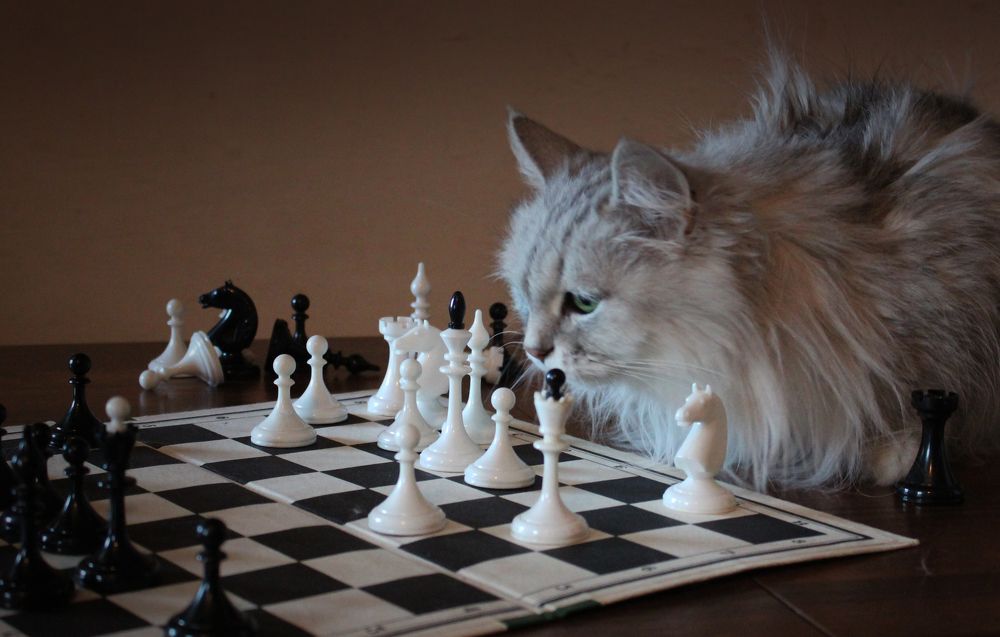 Photograph by Игорь Быков