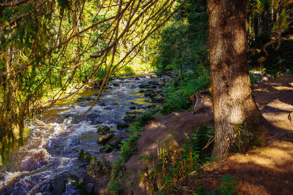 Photograph by Юлия Писарева