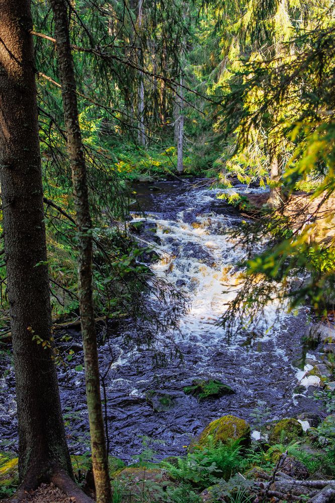 Photograph by Юлия Писарева