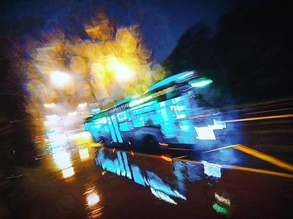 Photo #9469398