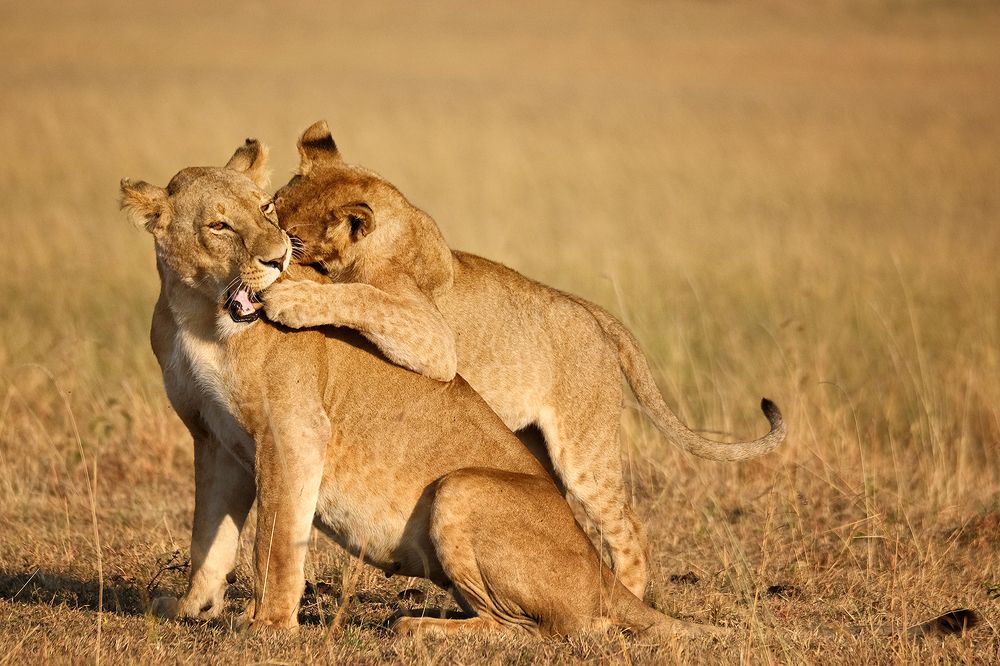 Photograph by Ирина Худзинская