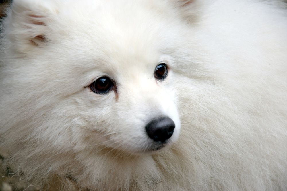 Photograph by Margo Margo