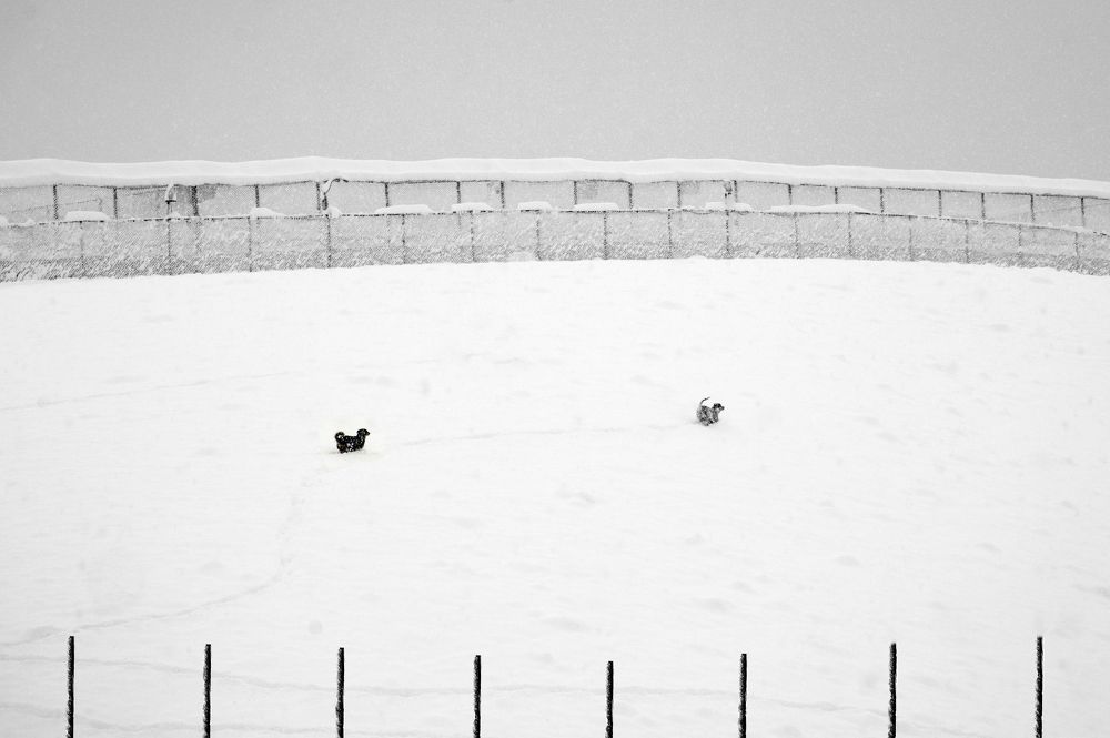 Photograph by Mahmoodreza Noraei