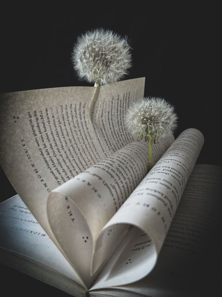 Photograph by Алена Жирова