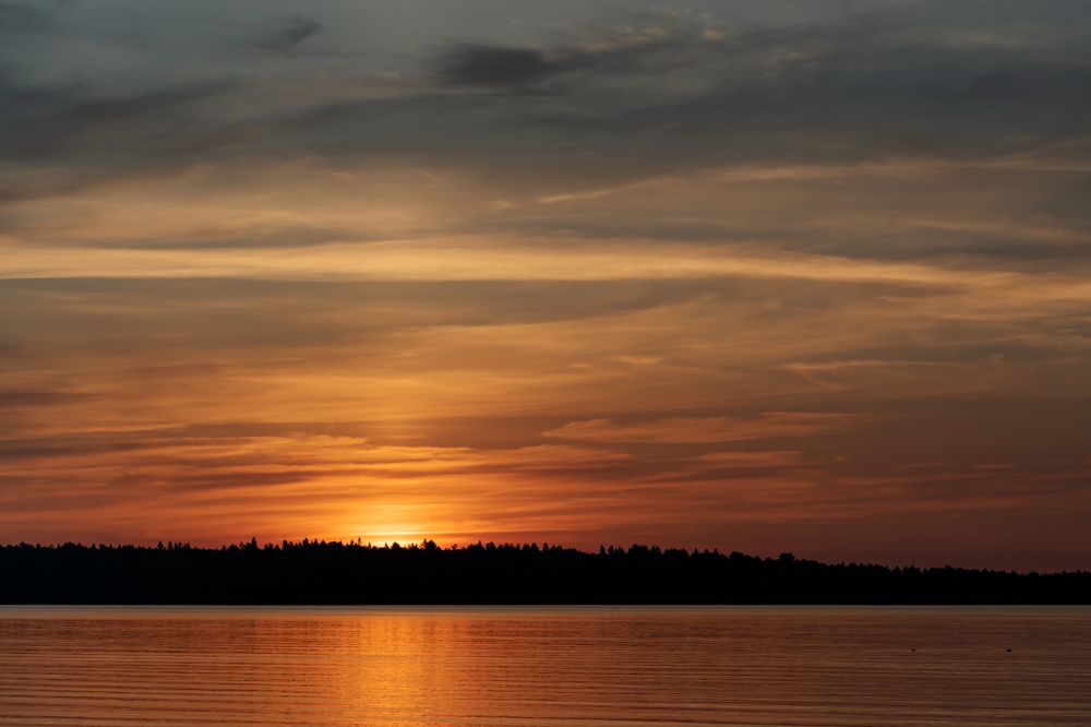 Photograph by Елена Амозова