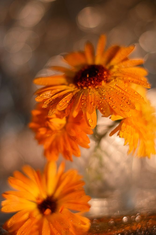 Photograph by Наталия Комаровская