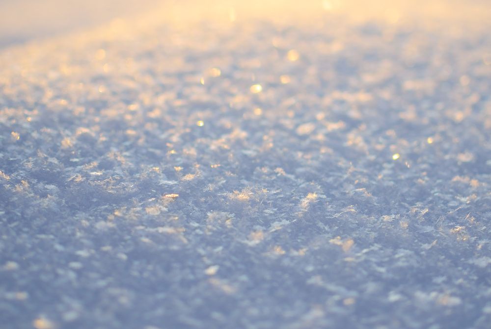 Photograph by Артём Шестаков