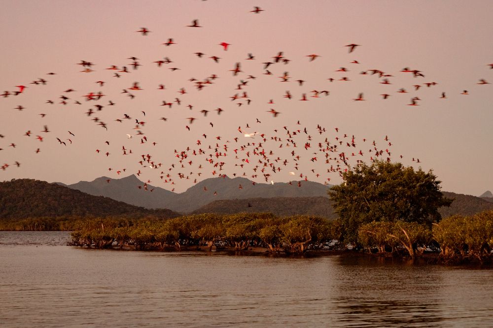 Photograph by Bruno Carlesse