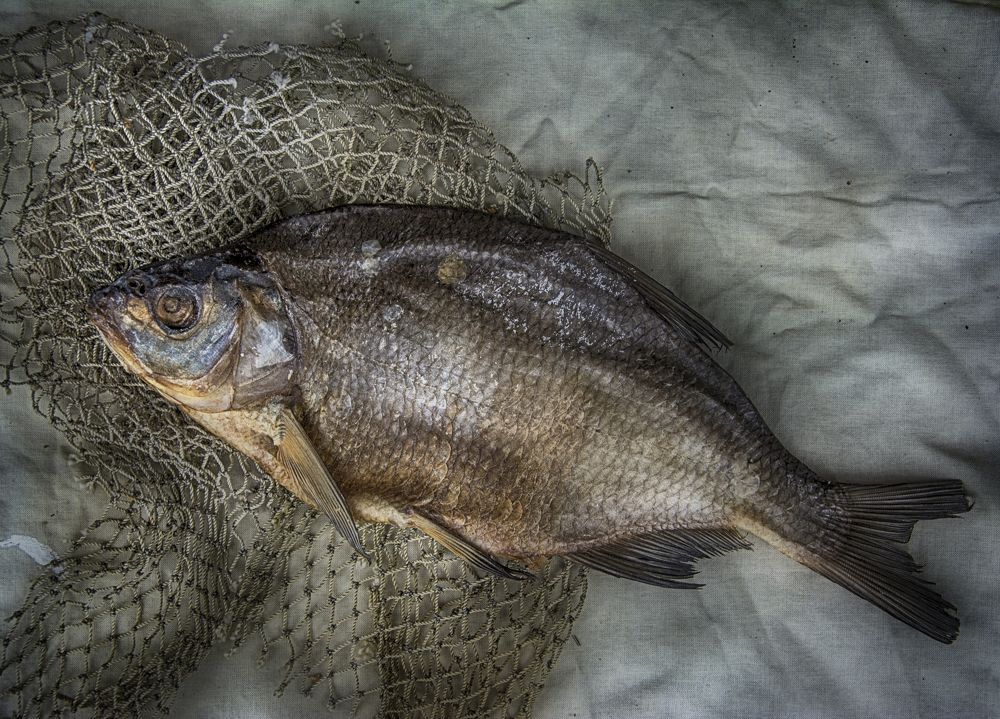 Вяленая рыба