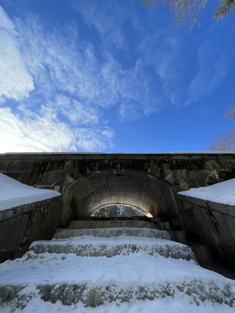 Photograph by Tatiana Teit Ash