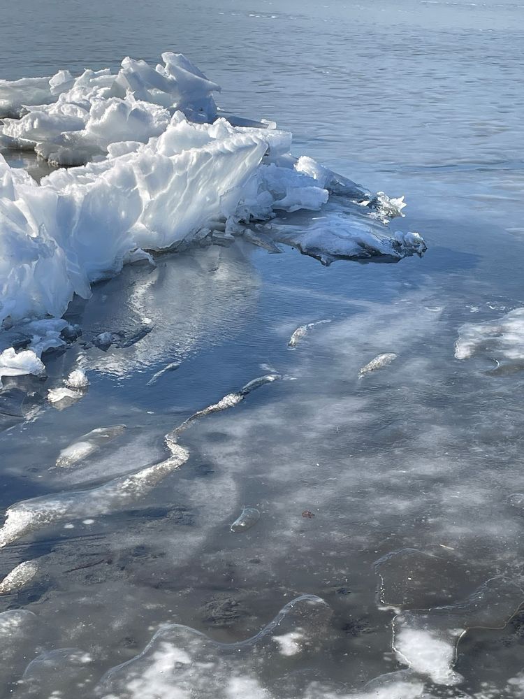 Photograph by Tatiana Teit Ash