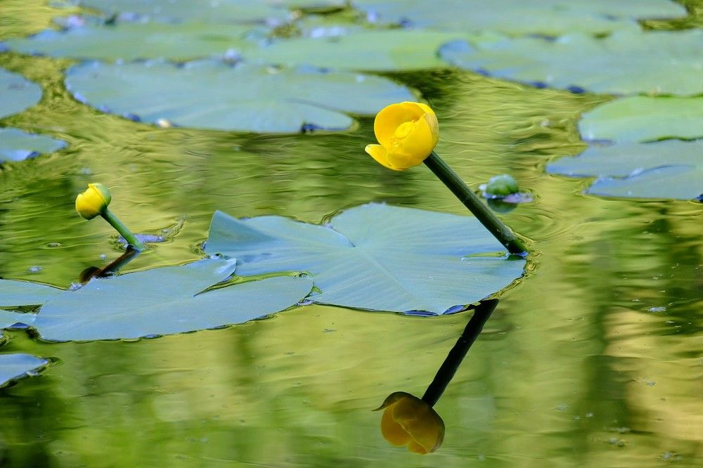 Photograph by Елена Масленникова