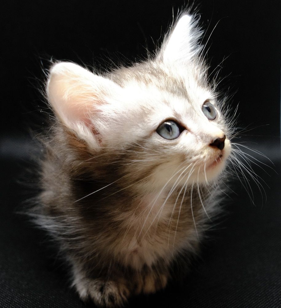 Photograph by Василий Мартынов