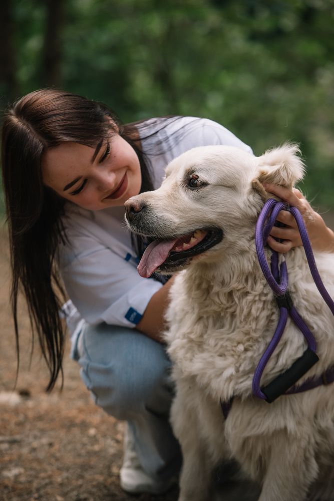 Photograph by Чикелев Дмитрий