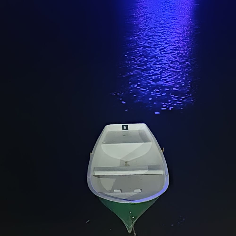 Photograph by Natalya Vasilenko