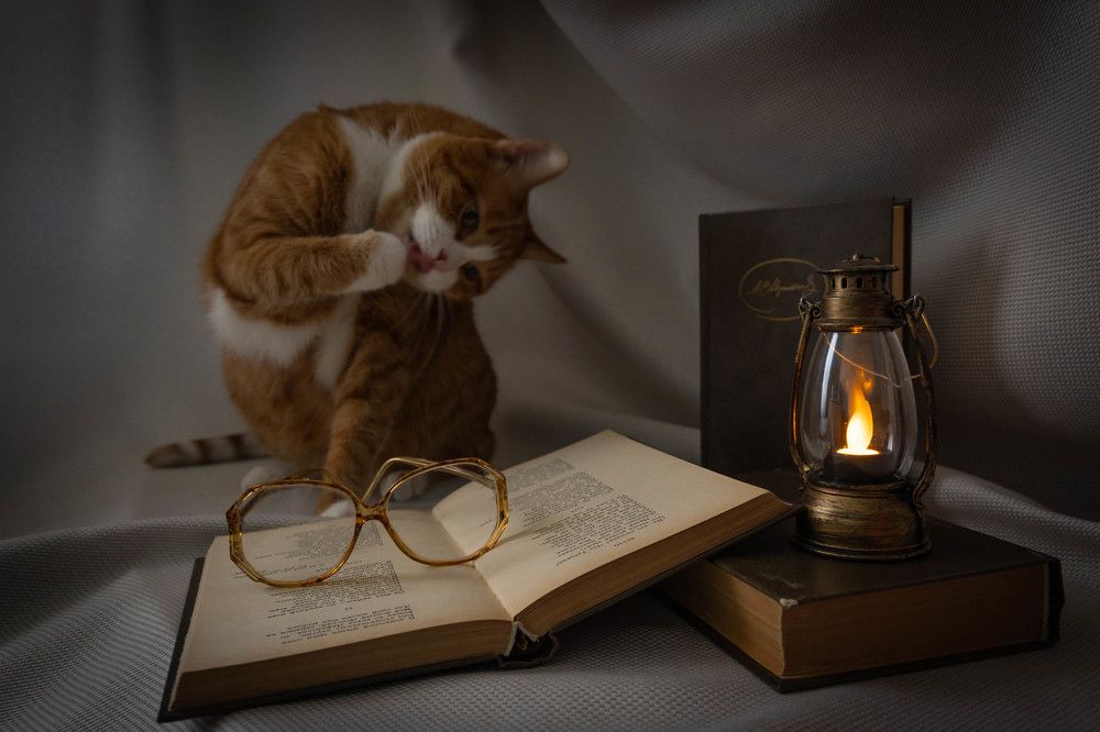 Фотография автора Оксана Белозерская