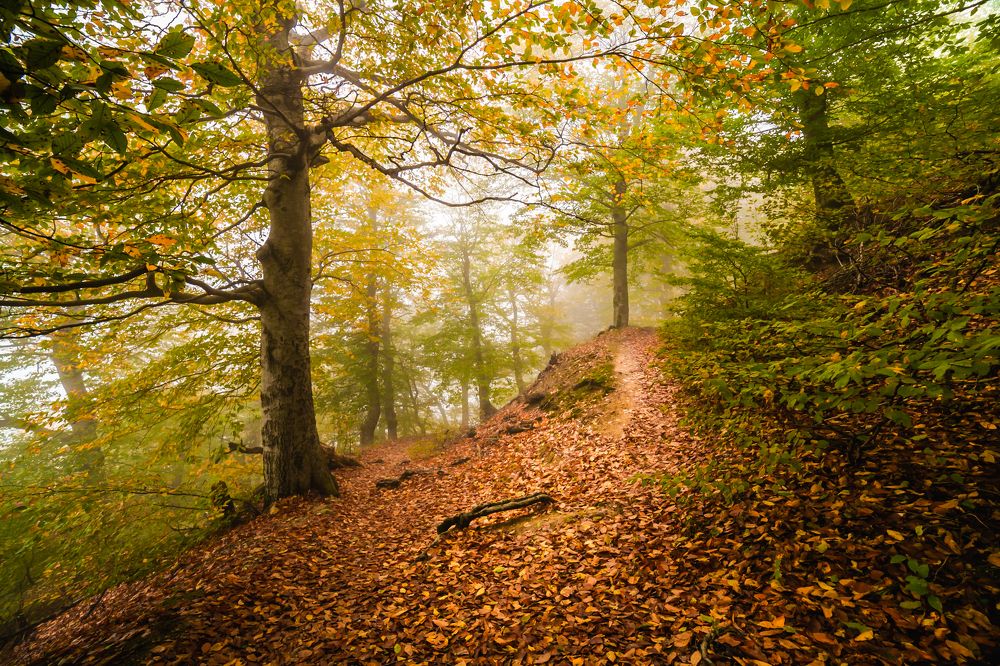 Photograph by Владимир Кривенко