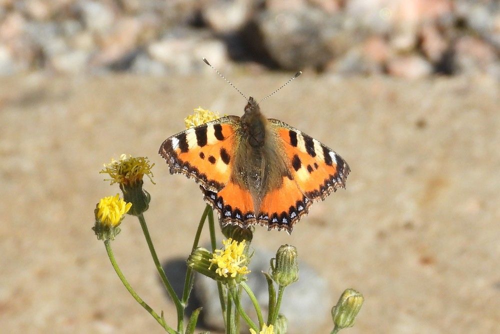 Photograph by Владимир Джерихов