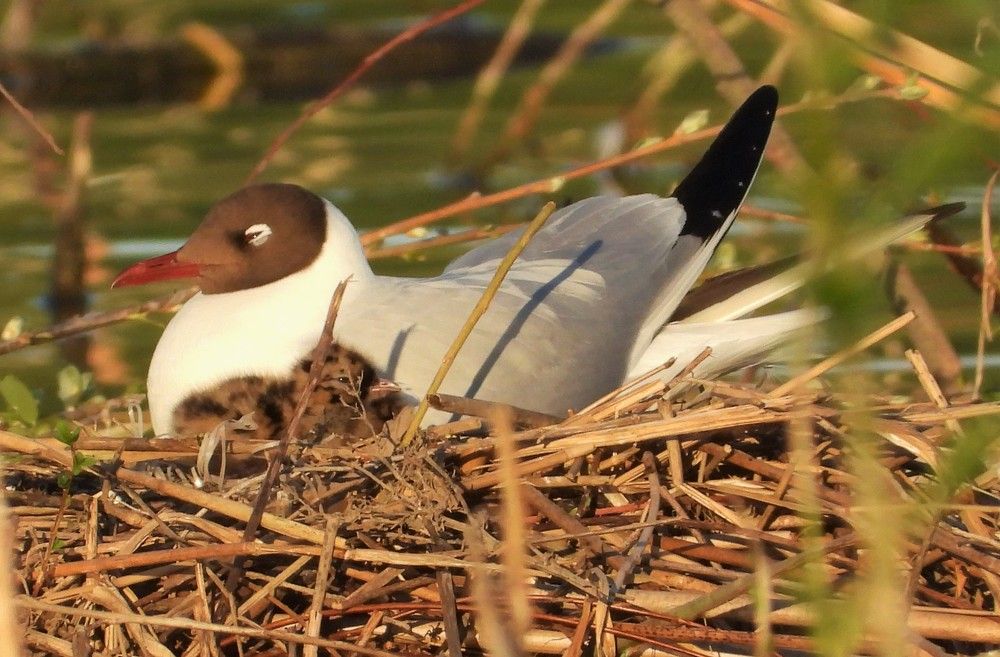 Photograph by Владимир Джерихов