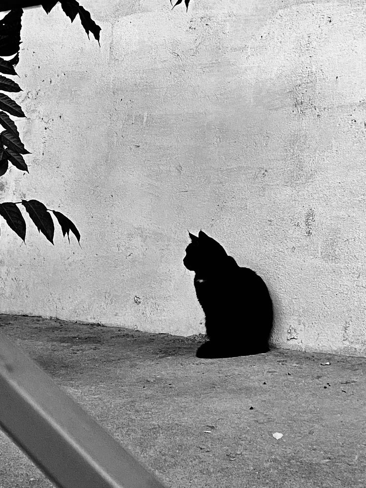 Photograph by Жанерке Хайбулда