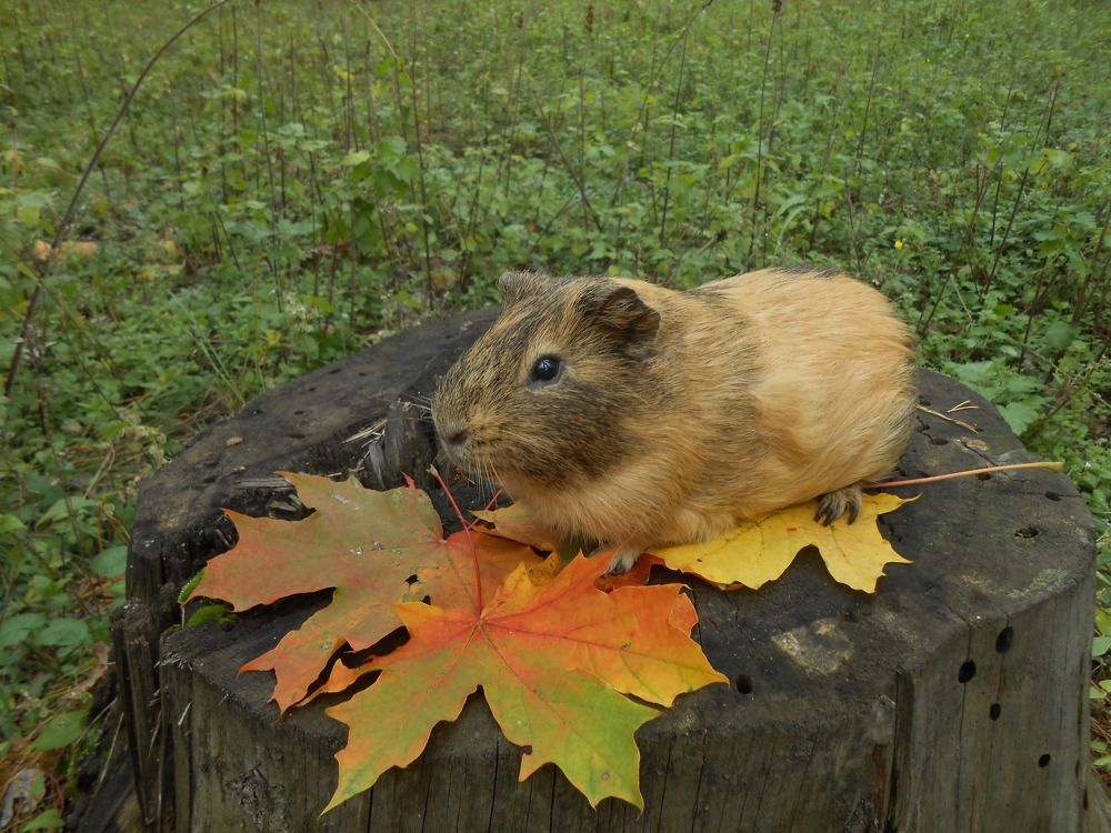 Photo #9469974