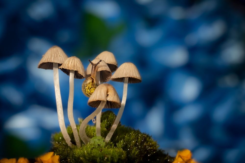 Photograph by Николай Фонарёв