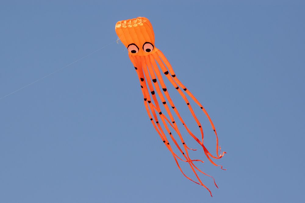 Воздушный змей