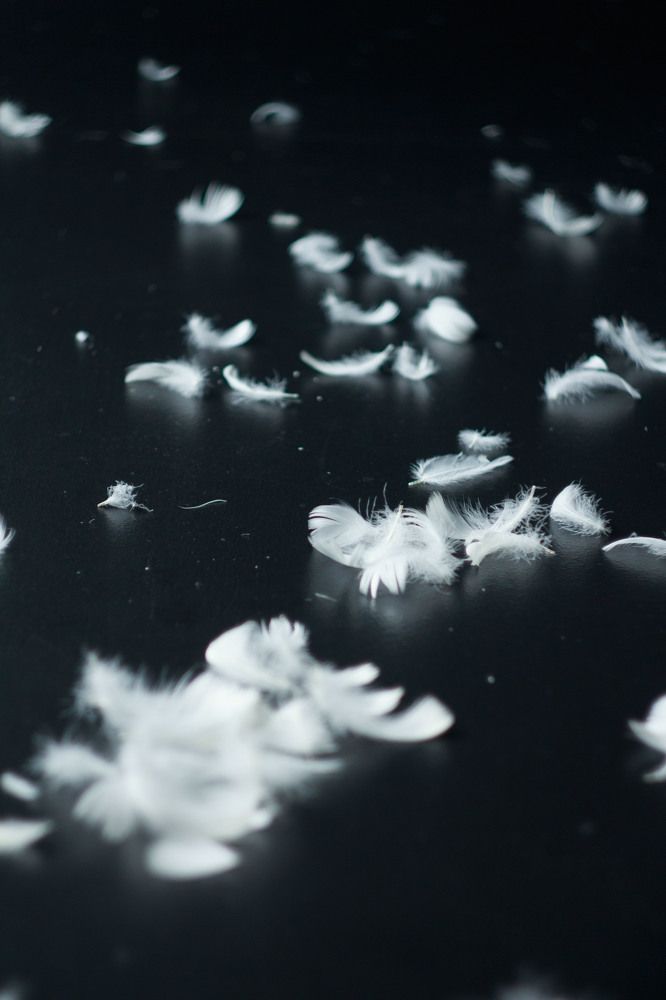 Photograph by Нелли Золотая