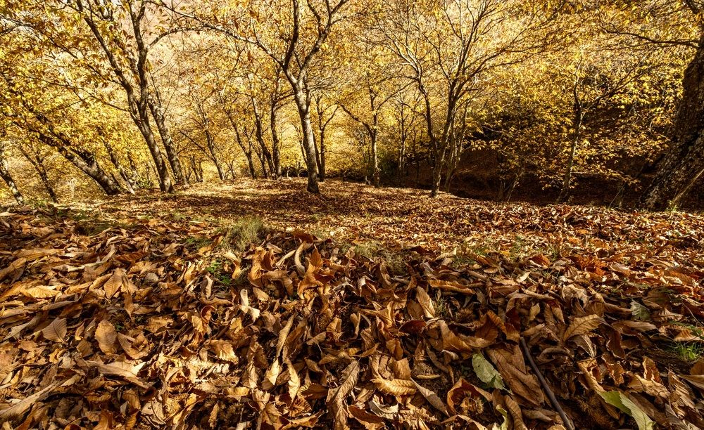 Photograph by Amelia Pardo