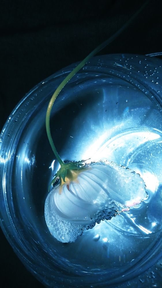 Photograph by Ольга Рыкова