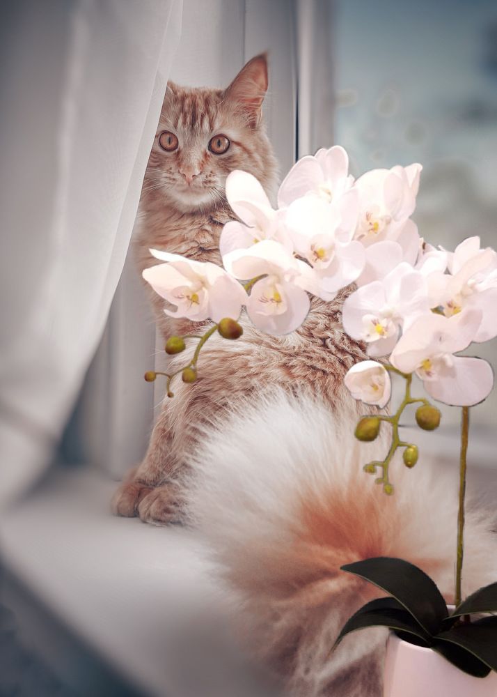 Photograph by Оксана Маракушина