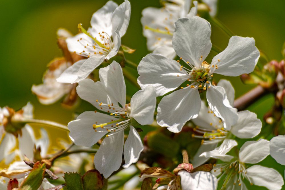 Photograph by Наталья Вялых