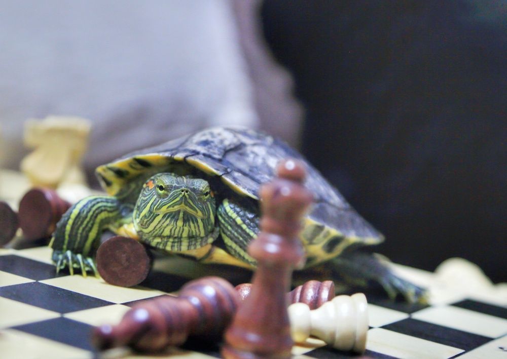 Вооружена и очень опасна