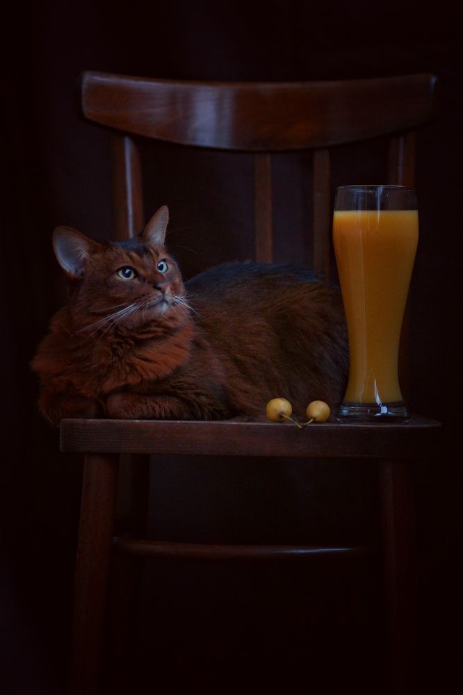 Photograph by Инга Сабанова