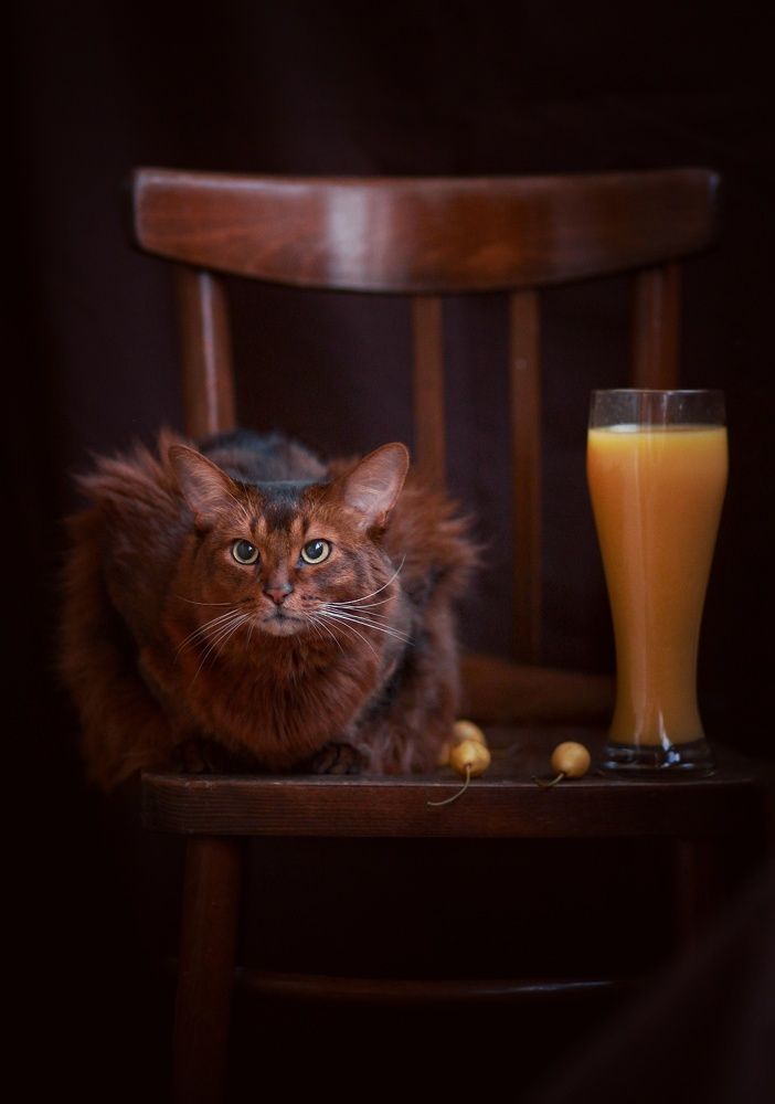 Photograph by Инга Сабанова