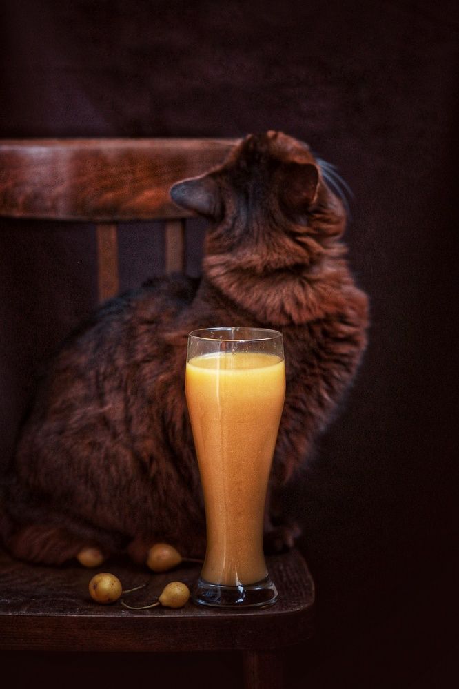 Photograph by Инга Сабанова