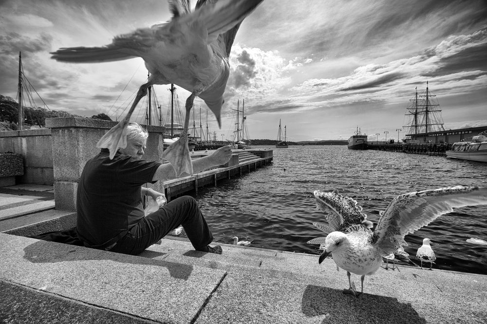 Photograph by Наталья Суслова