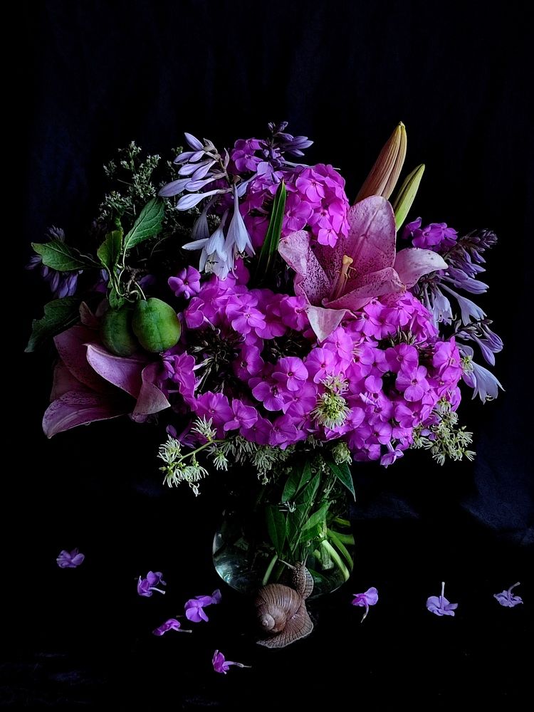 Photograph by Galina Novichkova