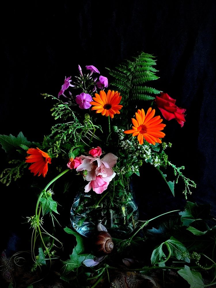 Photograph by Galina Novichkova