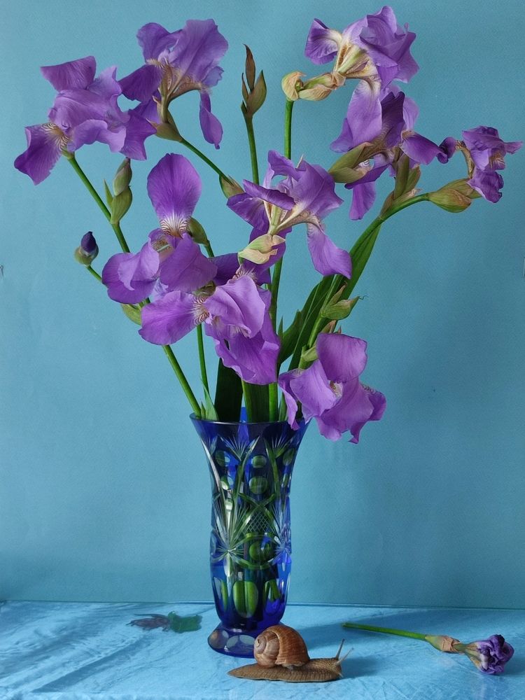 Photograph by Galina Novichkova